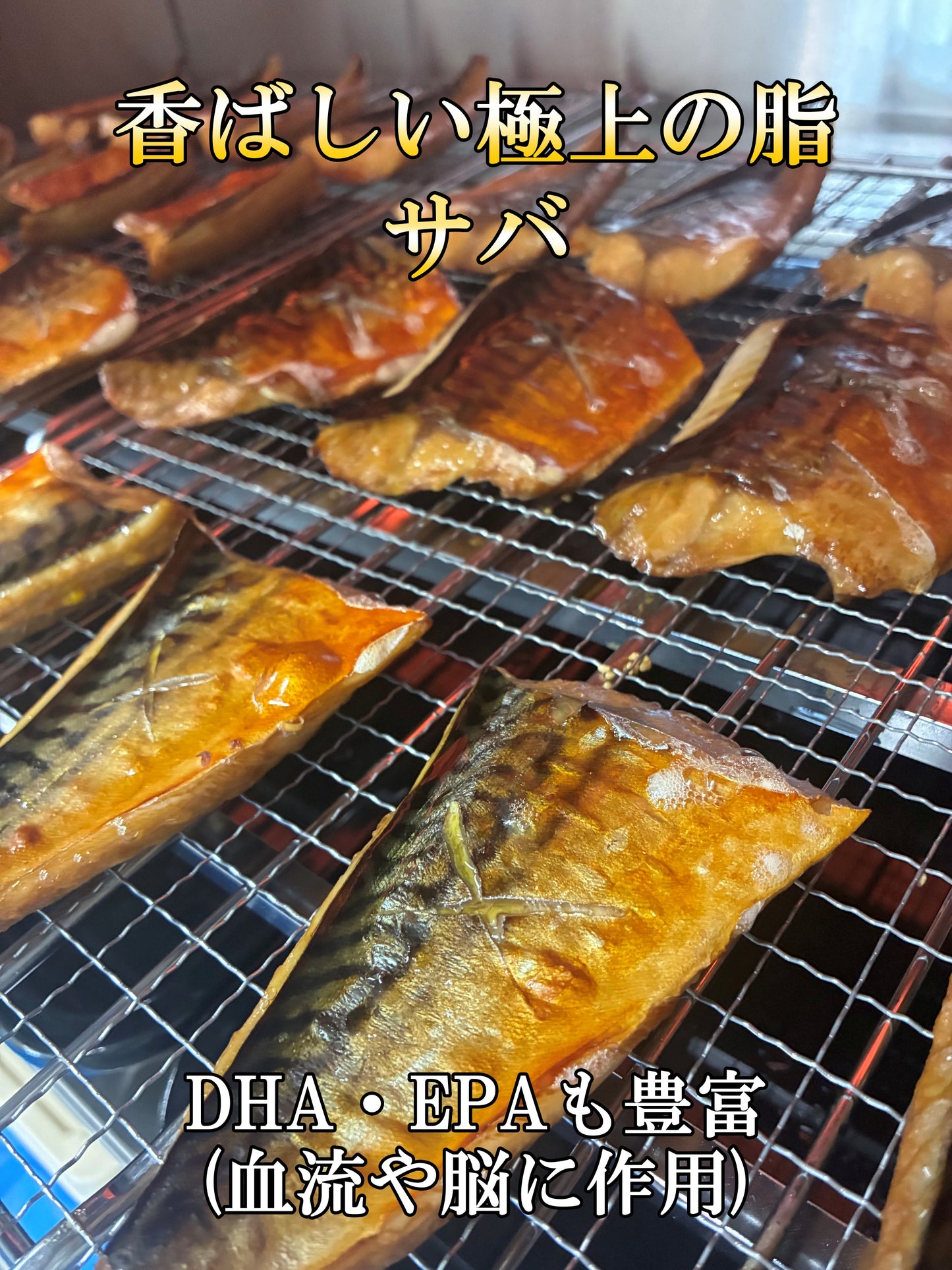大人の浜焼き鯖＋若狭おばま醤油干し(サバ、カラスガレイ)のセット